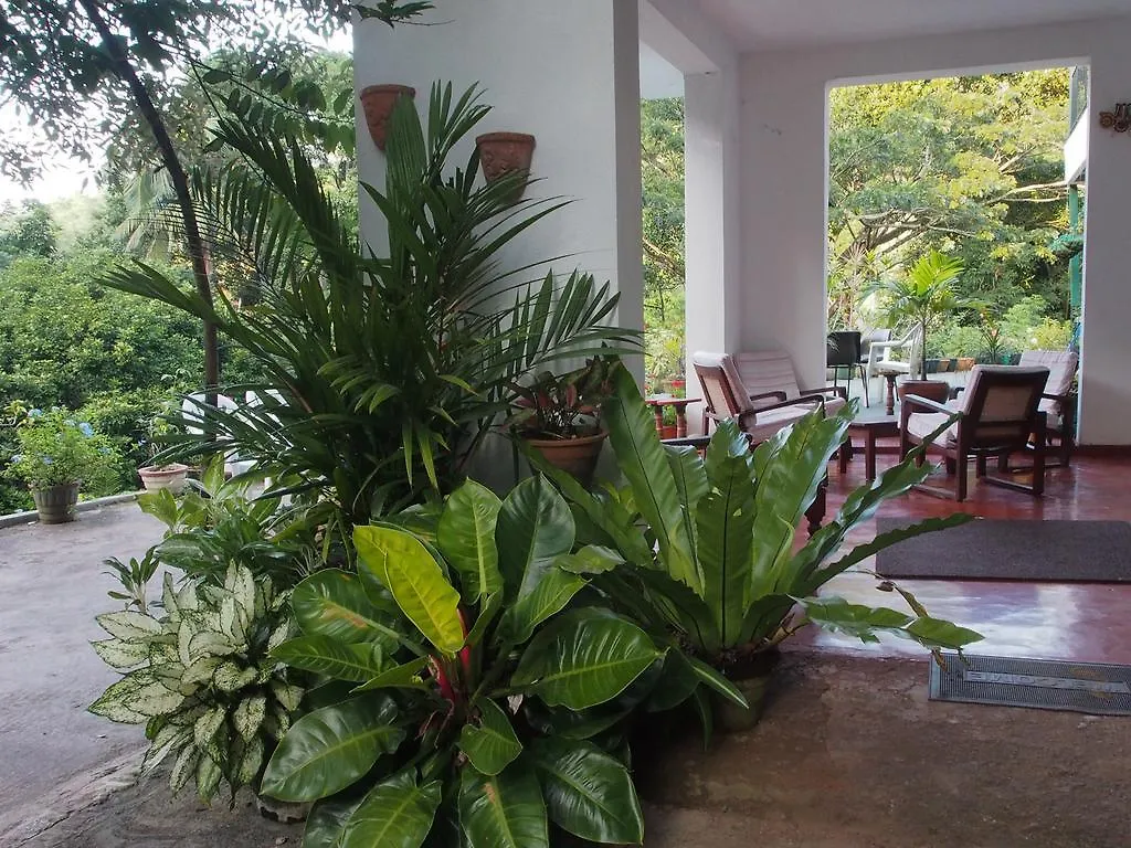 Forest Glen Kandy Sri Lanka