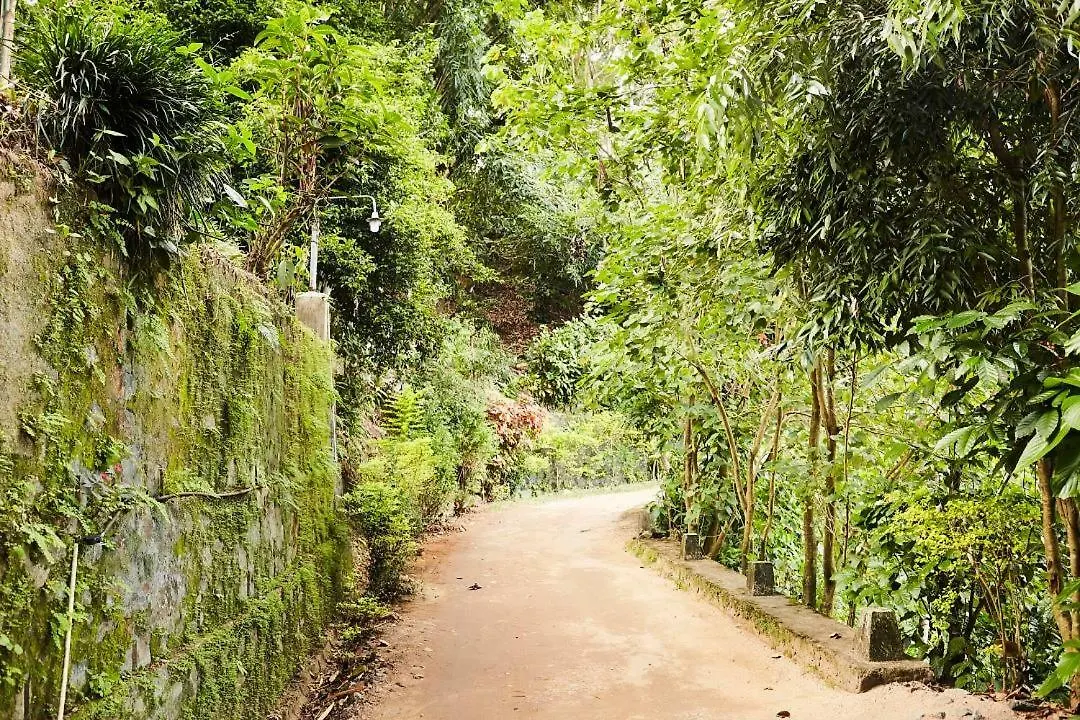 Kwatera prywatna Forest Glen Kandy